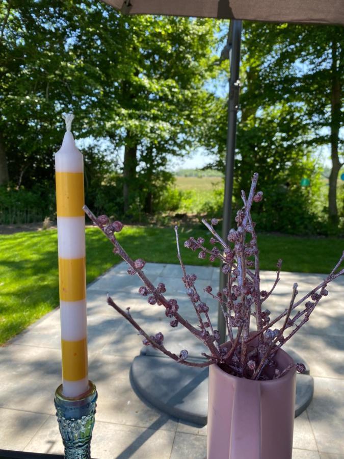 Luxe En Gezellig Chalet Aan Veluwemeer 4 Pers Hulshorst Dış mekan fotoğraf